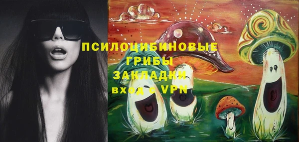 МДПВ Инта