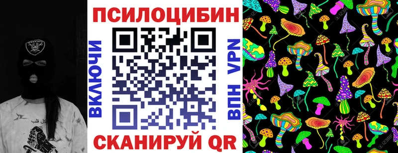 Галлюциногенные грибы прущие грибы  Купить  Гатчина 